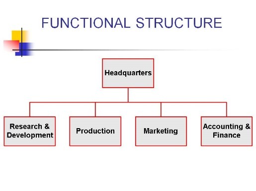 Common Organizational Structures Dr Vidya Hattangadi