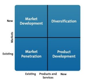 An Overview of Ansoff Matrix | Dr. Vidya Hattangadi