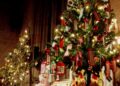 Christmas is a joyful festival of India