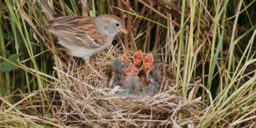 A story about the power of spiritual faith