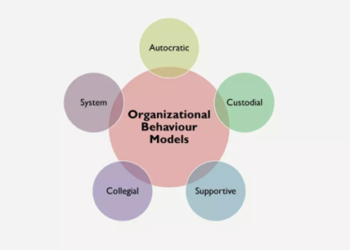 Why Organizational Behaviour Models are Important