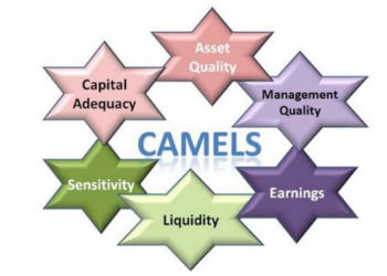 CAMELS Model