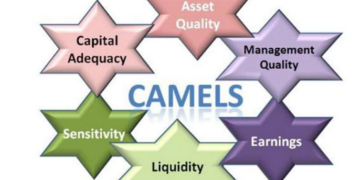 CAMELS Model