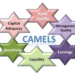 CAMELS Model