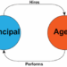 What is Agency Theory?