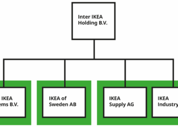 Organization Structure and Resources Allocation