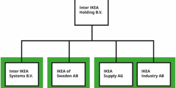 Organization Structure and Resources Allocation