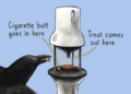 Crows are highly intelligent species