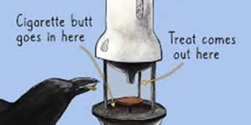 Crows are highly intelligent species