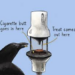 Crows are highly intelligent species