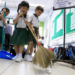 Why Cleanliness is deeply rooted in Japanese Culture