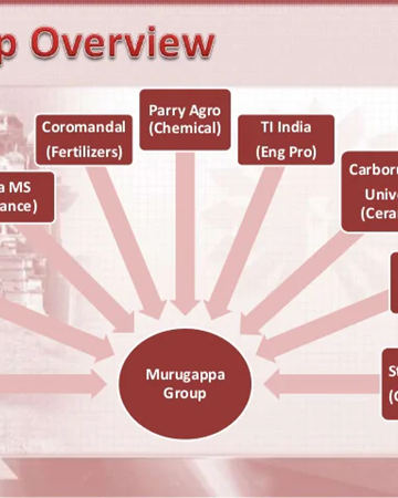 The Collegial Model of Organization Behaviour