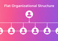 Organizational structures  shape company’s value creation